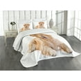 thumbnail image 3 of Ambesonne Golden Retriever Quilted Bedspread Set 3 Pcs, Young Puppy, Queen Size, Sand Brown White, 3 of 5