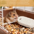 thumbnail image 4 of 4 Pieces Lava Teeth Grinding Blocks for Pets Chew Toys for Hamsters Guinea Pigs Chinchillas Dental Care Mineral Stones Enrichment Accessories for Small Animals Hamsters Rats Chinchillas (4), 4 of 6