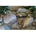 thumbnail image 4 of Aquascape 78277 35 in. Faux Driftwood, 4 of 4