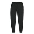 thumbnail image 3 of Sweatsuits 2Pcs Sets for Women Mens Tracksuit Unisex Hoodie and Sweatpants Tracksuit Sets Track Suit Set Super Soft High Quality - Cat Design on Top, 3 of 5