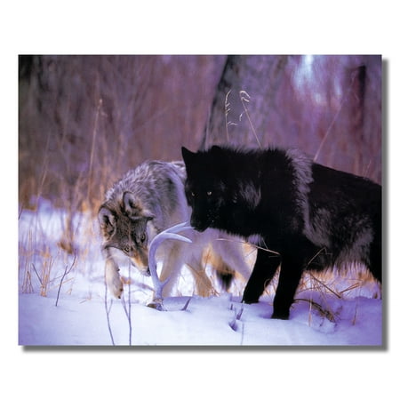 Antler Art - Wolf Deer Antler Rack Cabin Wall Picture Art Print