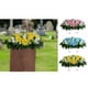 thumbnail image 4 of Matsuzay Flores de tumba de colores surtidos para lápida de cementerio, silla de flores con apariencia realista y testamento Jardín y Patio tipo+2, 4 of 6