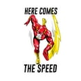 thumbnail image 2 of Flash Here Comes The Speed Toddler Boy's Black T-shirt-2T, 2 of 4