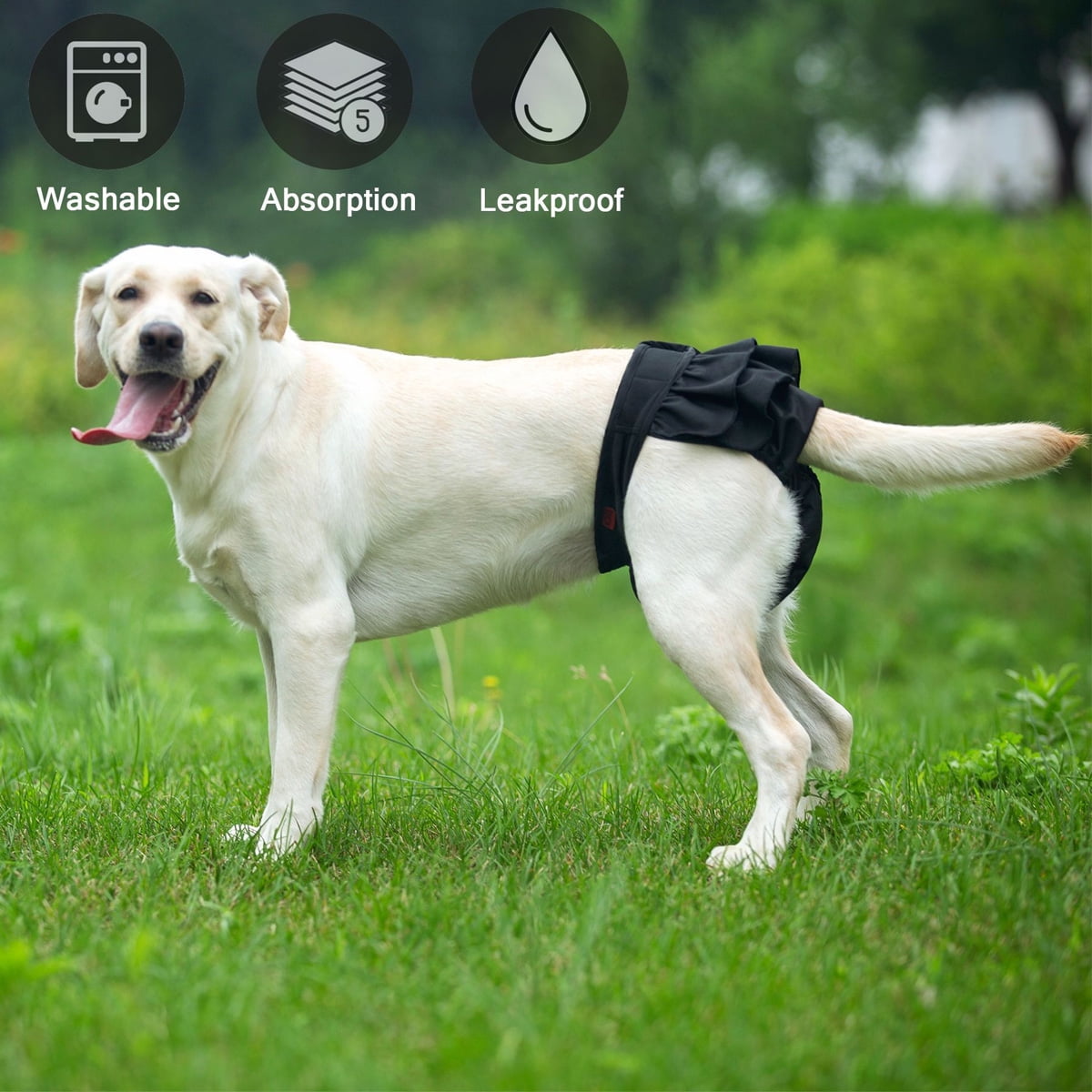 3PCS  Reusable Dog Nappies, Super Absorbent Washable Dog Period Pants, Skirt Design Dog Season Pants, Dog Diapers Female, Pet Sanitary