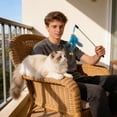 thumbnail image 6 of Extendable Cat Teaser Wand, Feather Cat Toy With Bell, For Daily Indoor Play And Activity Training Of Cats, Interactive Pet Exercise Toy, 6 of 6