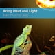 thumbnail image 2 of 2 Pack Reptile Uvb Uva Heat Lamp Bulb For Truly -Like Bright Heat For , Amphibian And Birds (100 W, 2 of 5