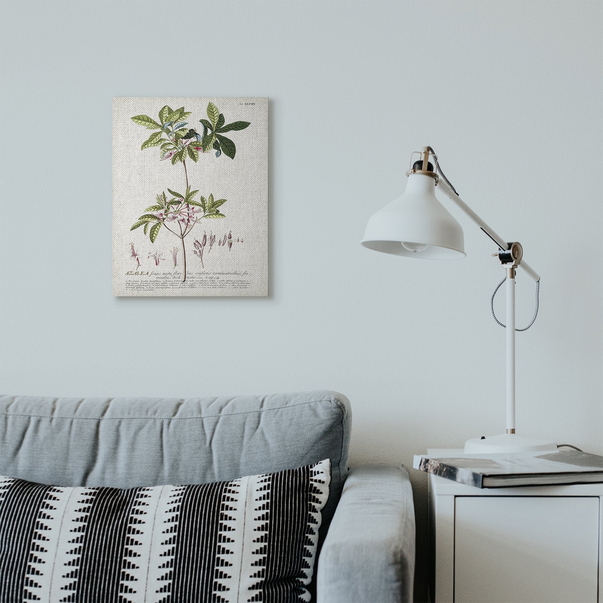 Stupell Industries Botanical Plant Illustration Pink Flowers Vintage Design Canvas Wall Art by Unknown