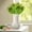 Yellow, variant on CHENjy Fall Artificial Mums, No Fade Artificial Flowers Outdoor Bundles, Plastic Fake Plants Greenery Shrubs for Porch Patio Garden Decoration, Green
