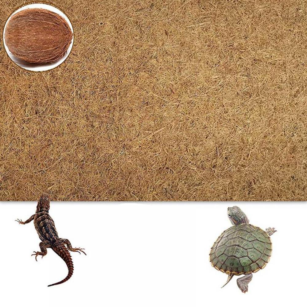 lizard bedding walmart