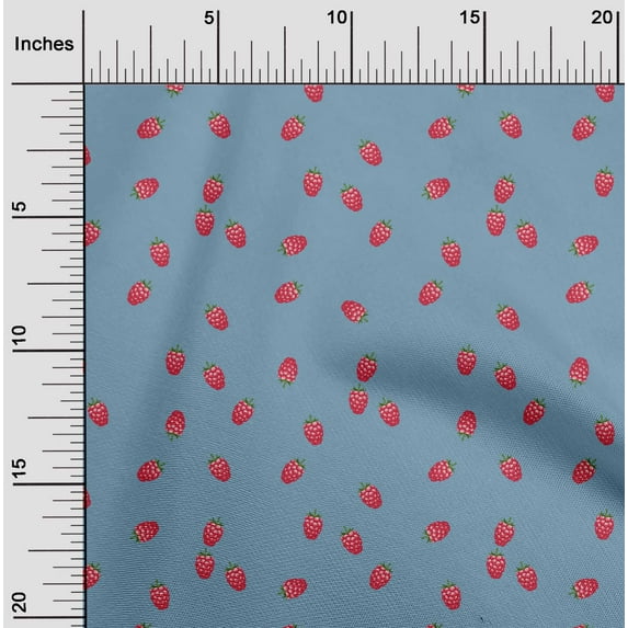 oneOone Polyester Lycra Fabric Raspberry Fruit Print Sewing Fabric BTY 56 Inch Wide