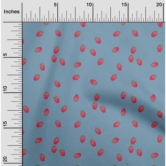 oneOone Viscose Chiffon Fabric Raspberry Fruit Print Fabric BTY 42 Inch Wide