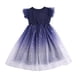 thumbnail image 3 of Vestido de verano para niñas, estilo cielo estrellado, degradado, manga corta, vestido de princesa, vestido de velo de ponte, falda para niñas, 3 of 5