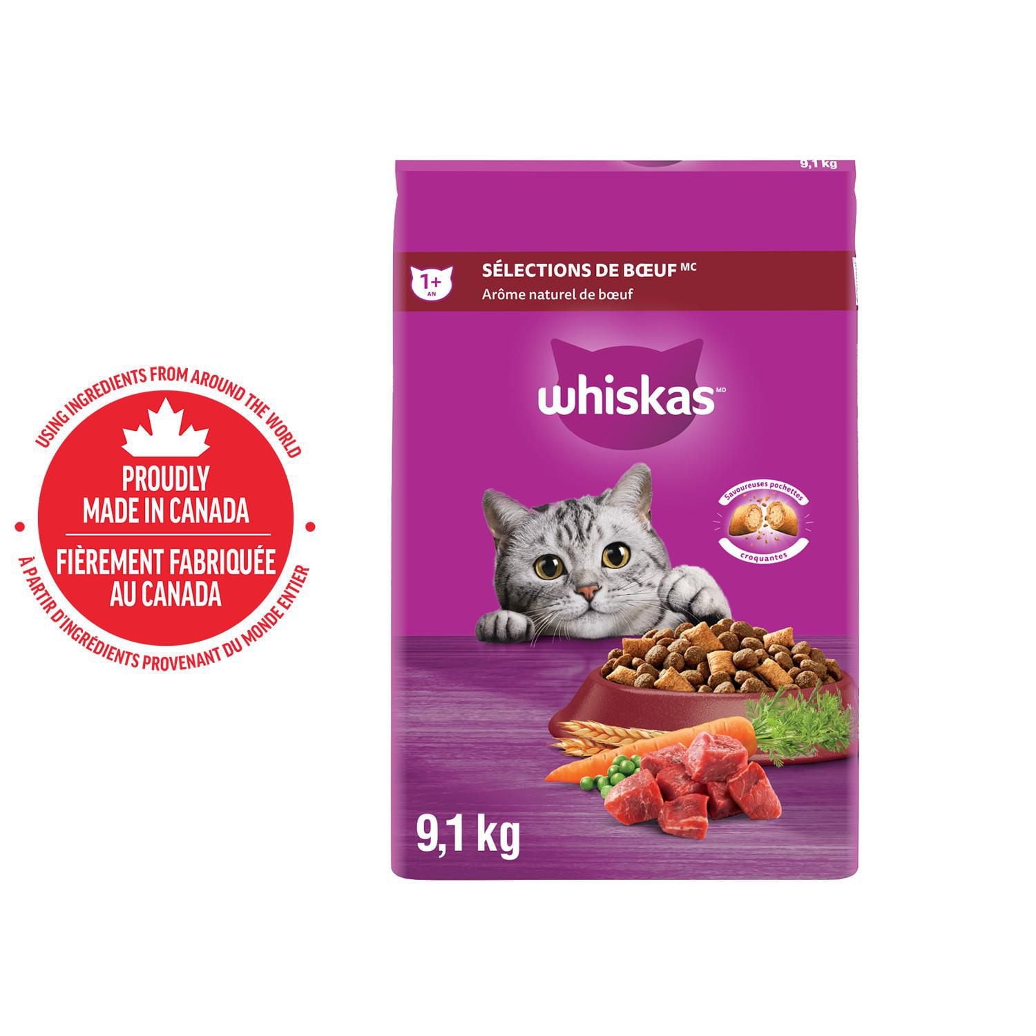 Can Cats Eat Dog Food in an Emergency 90 2: Survival Tips