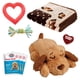 thumbnail image 1 of Kit de inicio para cachorros SmartPetLove Snuggle Puppy con accesorios, 1 of 9