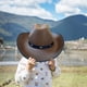 thumbnail image 4 of Sombrero de vaquero para bebés Sombreros marrones para niños pequeños Sombreros de vaquero para fiestas Sombreros de vaquero para niños Talla única, 4 of 7