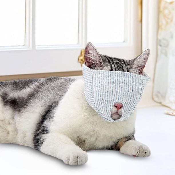 de gato para cirugía, cubiertas protectoras para la boca, cómodas, previenen mordeduras, protector facial antilamer para el cuidado después de M Coberturas Completas