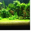 thumbnail image 3 of Attractive 3D Plants Image Aquarium Background Poster/Fish Tank Landscape - 122x61cm, 3 of 8