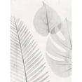 thumbnail image 3 of Koetsier, Albert 19x24 Black Modern Framed Museum Art Print Titled - Distilled Botanicals 1, 3 of 5