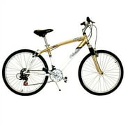 26" M Schwinn Skyliner