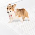 thumbnail image 2 of Almohadillas Para Orina De Perro Almohadillas De Entrenamiento Ultra Absorbentes Con Superficie De Secado Rápido Almohadillas Para Entrenamiento De Perros Suministros Para Mascotas Moyic PT002711-04, 2 of 6