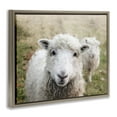 thumbnail image 4 of Stupell Industries Close Up Sheep Gaze Animals & Insects Painting Brown Floater Framed Canvas Art Print Wall Art, 31 x 25, 4 of 10
