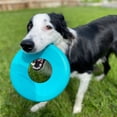 thumbnail image 5 of West Paw's Play Pack Dog Toys (3 Count), 5 of 5