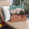 thumbnail image 1 of Ahgly Company Cat Cats Oreiller Extérieur 18 Pouces par 18 Pouces, 1 of 6