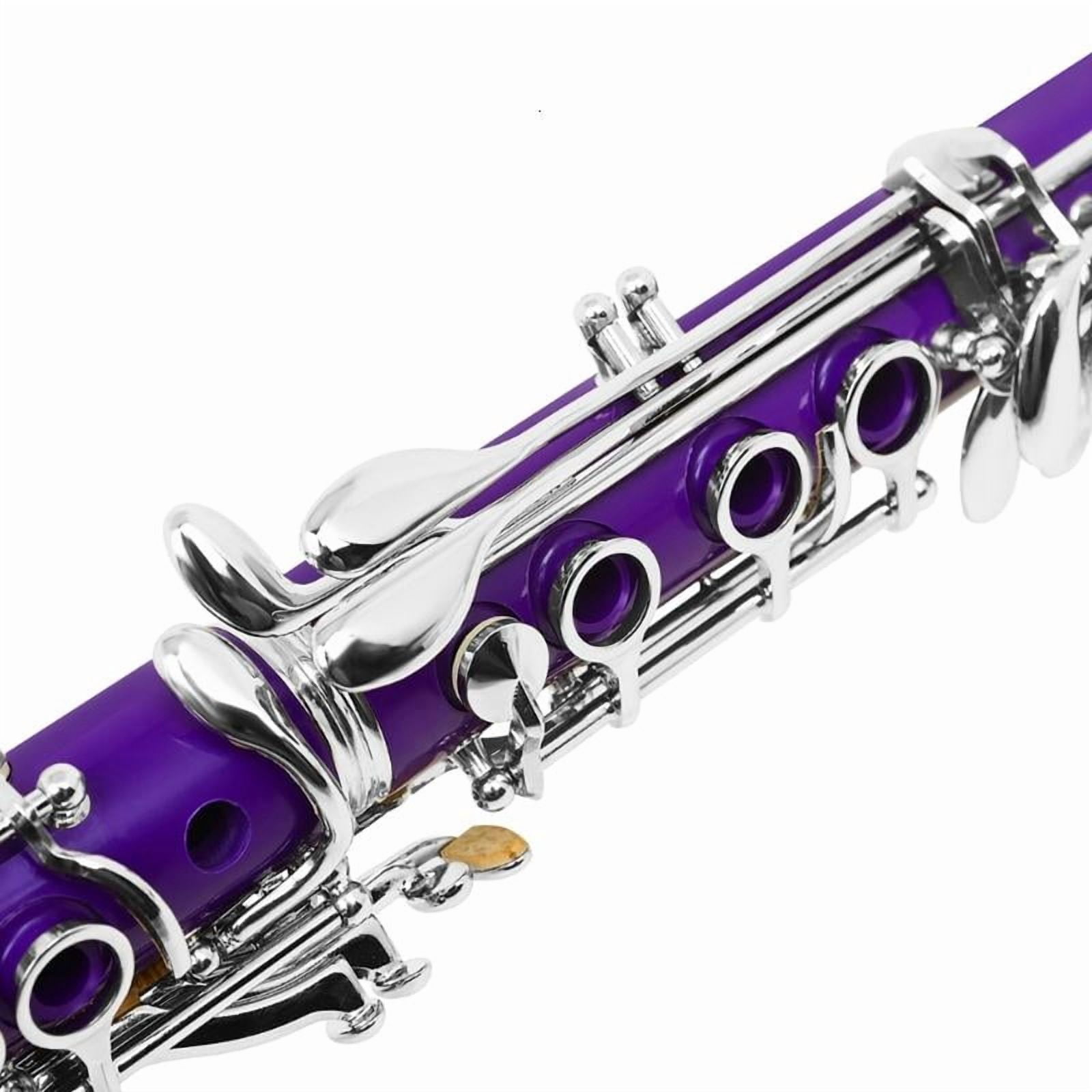 CEORPER 17 Keys Clarinet with Clarinet Carrying Case and Clarinet Maintaince Tool Set