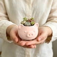 thumbnail image 6 of Hovilon Mini Pig Shaped Planter with Drainage Hole, Pink Plastic Cute Animal Plant Pot, Small Indoor Flower Container for Home Office Desk Windowsill, Decorative Cactus Herb Planter Accent, 6 of 6