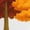 White, variant on Fall Is My Favorite Color T-Shirt Autumn Trees Graphic Tee