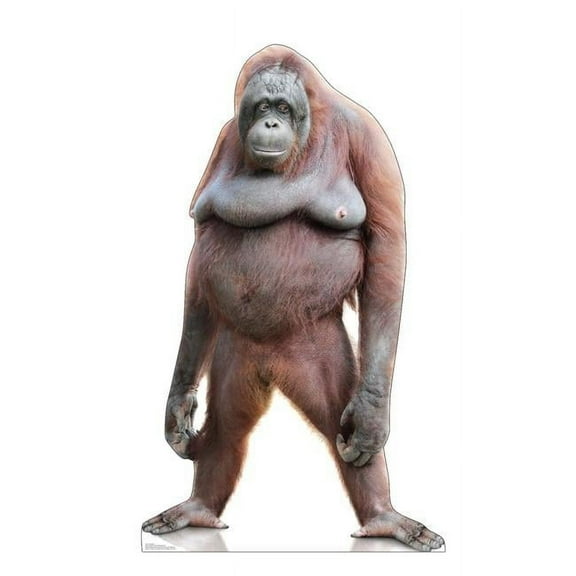 62 x 37 in. Orangutan Life-Size Cardboard Cutout