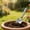 A, variant on Stainless Steel Mini Garden Hand Shovel, Compact Pointed Trowel for Potted Plants, Balcony & Garden Soil Loosening Use