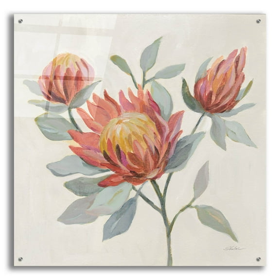 Epic Art 'Field Bloom II' by Silvia Vassileva, Acrylic Glass Wall Art, 36"x36"