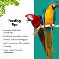 thumbnail image 4 of RoudyBush Daily Maintenance Bird Food, Crumbles, 44-Ounce, 2.75 lb (244CRDM), 4 of 8