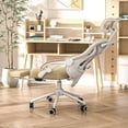 thumbnail image 3 of Ergonomic Office Chair with Footrest - Adjustable Lumbar Support & Headrest  Reclining Mesh Back Computer Chair - Home Office/Gaming  Capacity, 3 of 3