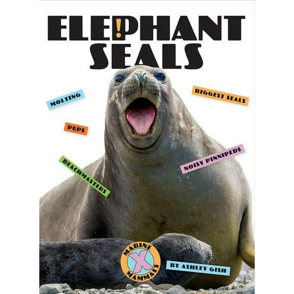 X-Books: Marine Mammals Elephant Seals, (Hardcover)