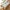 Coffee, variant on Plaid Decorative Linen Tablecloth with Tassel Waterproof Oilproof Thick Rectangular Wedding Dining Table Cover Tea Table Cloth (Green,120x120cm)