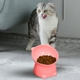 thumbnail image 6 of B Elevated Pet Bowl For Cats With Slanted Design For Digestive Health And Durability, 6 of 6