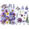 thumbnail image 3 of 30 piezas de flores prensadas secas reales, hojas secas a granel, kit natural para manualidades, Púrpura, 3 of 3