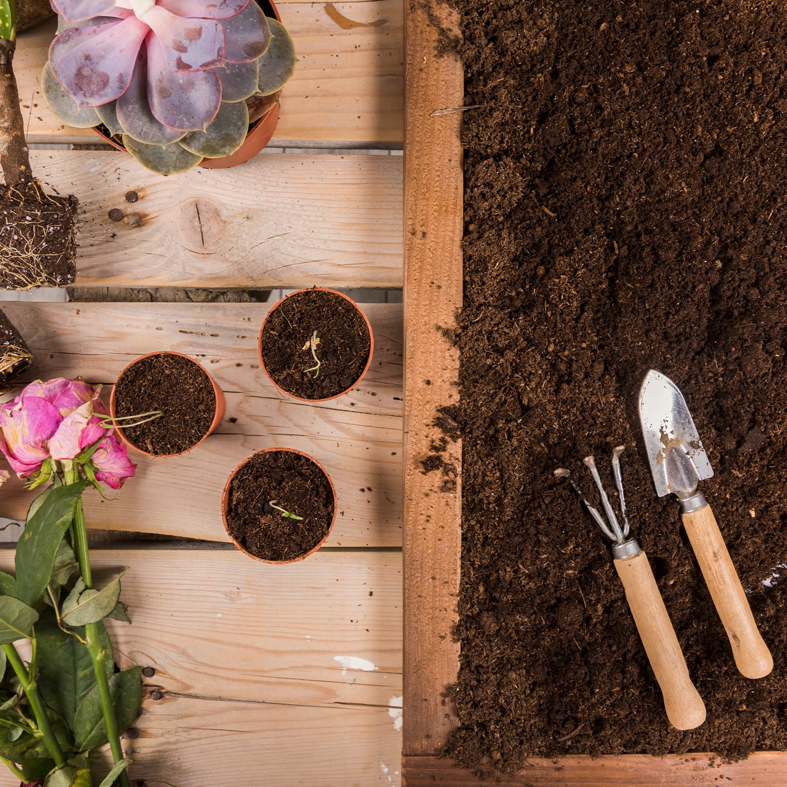 Halatool 6PCS Organic Coconut Coir Bricks Compressed Coco Coir Brick Nutrient Garden Soil with Low EC & pH Balance Premium Starting Soil Coconut Fiber Substrate for Plants Flowers Reptiles