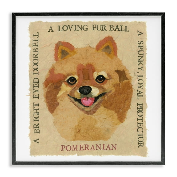 Stupell Industries Fun Pomeranian Pet Phrases Animals Painting Black Framed Art Print Wall Art, 12 x 12