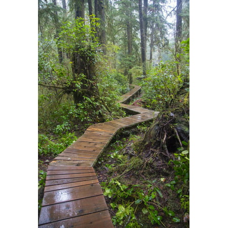 Combers Beach Trail, Pacific Rim National Park, Vancouver Island, British Columbia, Canada Print Wall Art By Douglas