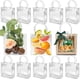 thumbnail image 1 of 30 bolsas de regalo PVC transparente con asas, reutilizables con botón, para dulces, bodas y fiestas (20x20x8cm), 1 of 5