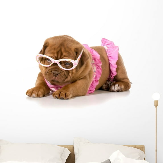 Dog Bikini Wall Mural by Wallmonkeys Peel and Stick Graphic (36 in W x 29 in H) WM57623