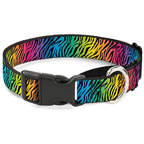 Buckle-Down Zebra Rainbow Ombre Martingale Dog Collar
