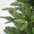 thumbnail image 5 of National Tree Company 6 ft. Pre-Lit Artificial Whatcom Pine Christmas Tree, Green, 250 Warm White LED Lights, Includes Stand, 5 of 5