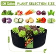 thumbnail image 5 of 100 Gallon Plant Grow Bag with Handles, Large Heavy Duty Fabric Grow Pot, Durable Breathe Cloth Planting Container for Carrot Onion, Gardening Outdoor, 5 of 7