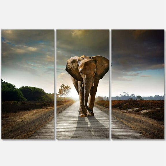 Designart 'Single Walking Elephant ' Photography Canvas Art Print