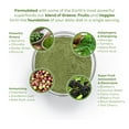 thumbnail image 4 of Power Greens Plant Based Superfood Green Powder - 7oz, 4 of 7