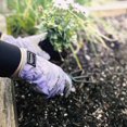 thumbnail image 5 of Guantes de jardinería de microfibra y silicona de Homegrown Watson Sparrow, 5 of 5